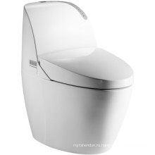 Высококачественный керамический интеллектуальный туалет (JN30801)